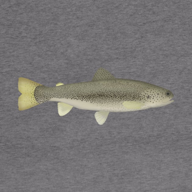 Draa Trout by FishFolkArt